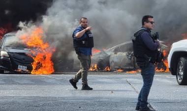 سقوط "إل منشو" وتصاعد الحرب العالمية على المخدرات